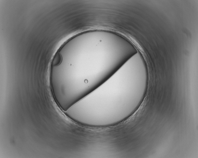 X0000115701246200911121357