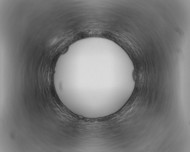 X0000115701250200911121357