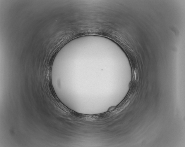 X0000115701251200911121357