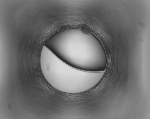 X0000115701252200911121357