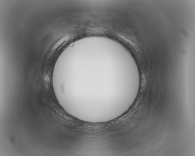 X0000115701254200911121357