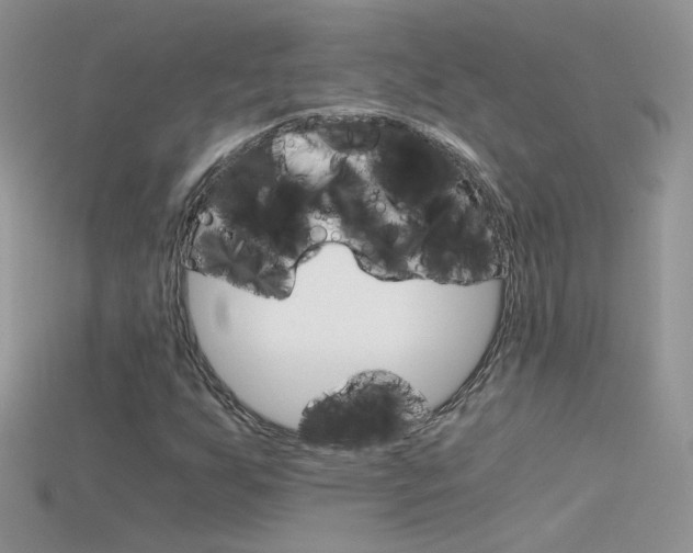 X0000115701255200911121357