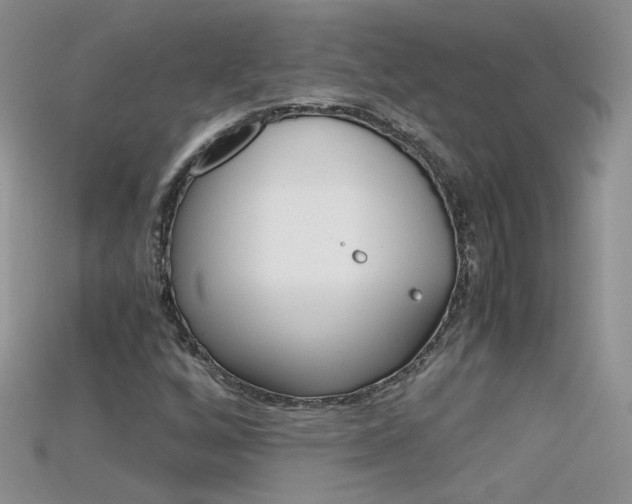 X0000115701256200911121357