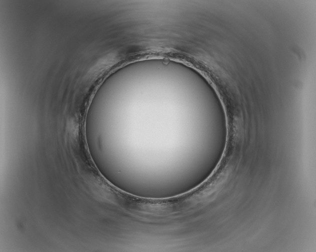 X0000115701257200911121357