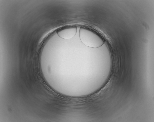 X0000115701262200911121357