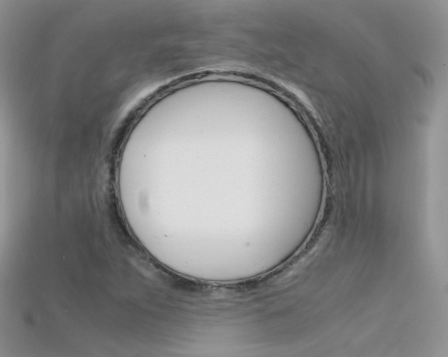 X0000115701263200911121357