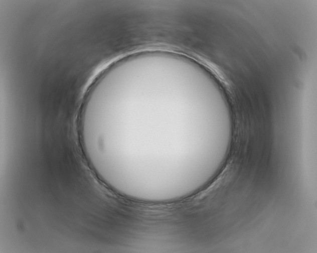 X0000115701264200911121357