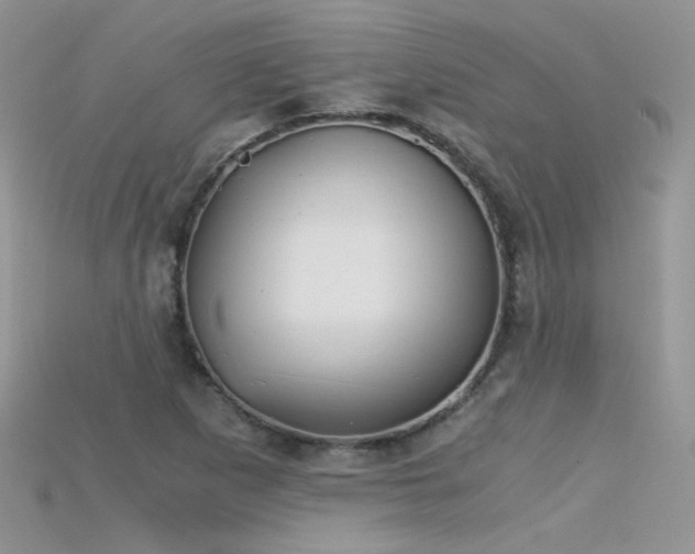 X0000115701265200911121357