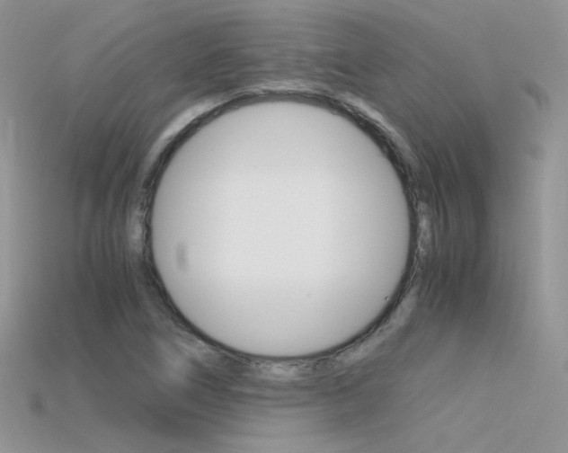 X0000115701266200911121357