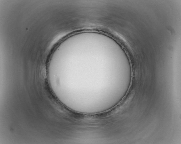 X0000115701267200911121357