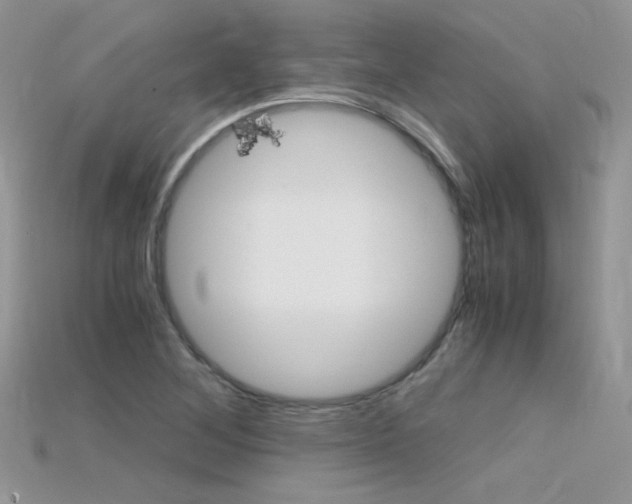 X0000115701268200911121357