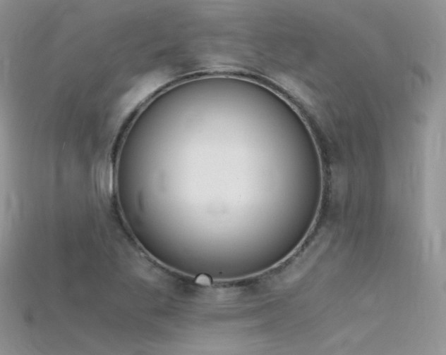 X0000115701269200911121357