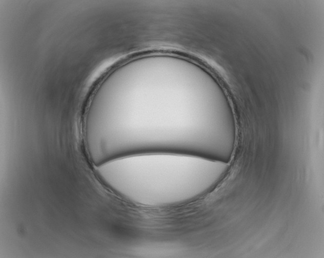X0000115701271200911121357