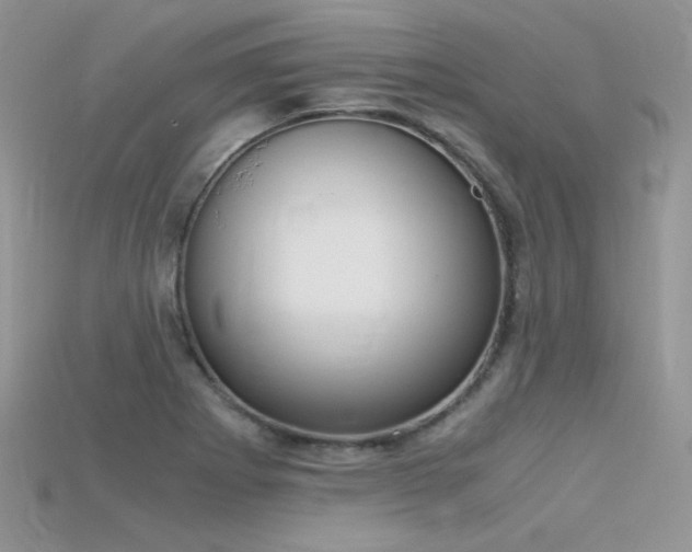 X0000115701273200911121356