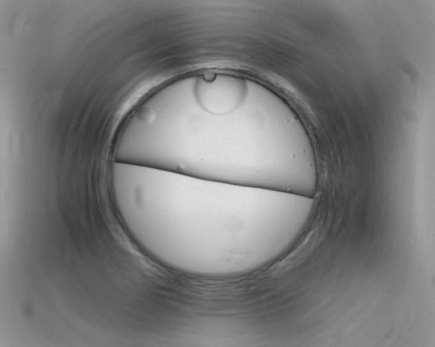 X0000115701274200911121356