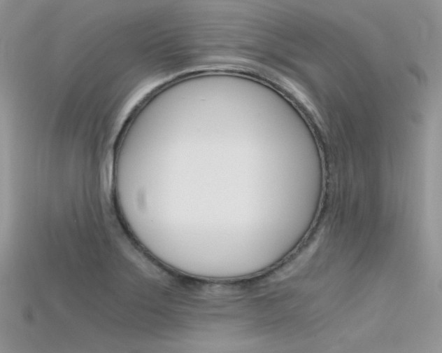X0000115701275200911121356