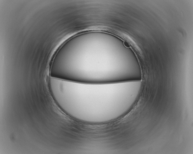 X0000115701276200911121356