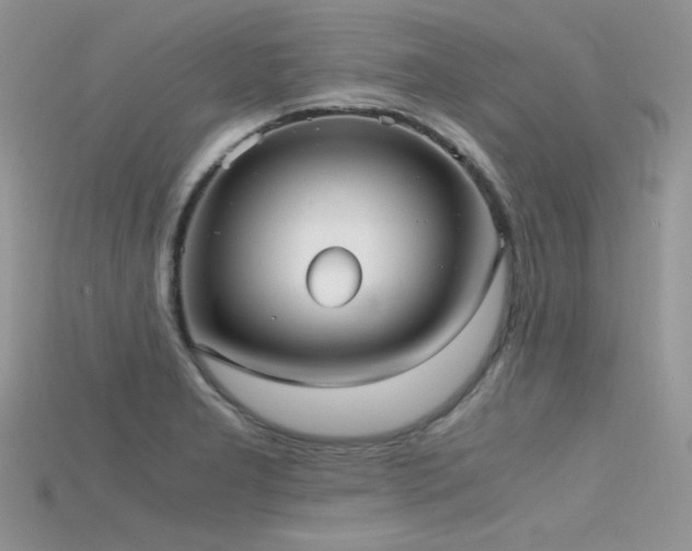 X0000115701277200911121356