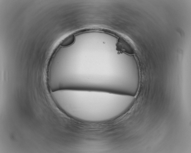 X0000115701279200911121356