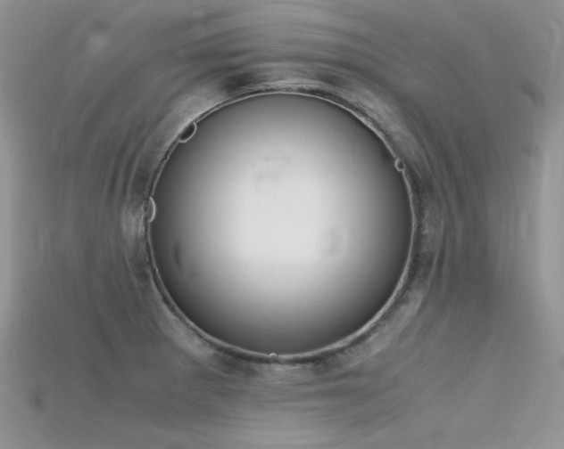 X0000115701281200911121356