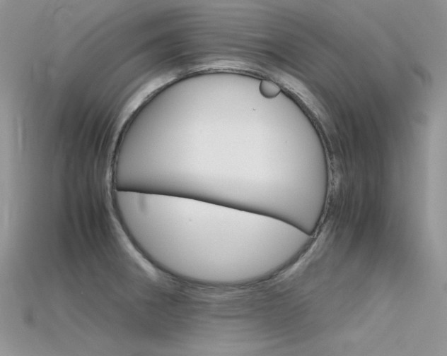 X0000115701282200911121356