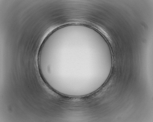 X0000115701283200911121356