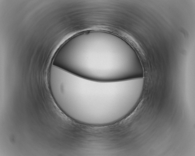 X0000115701284200911121356