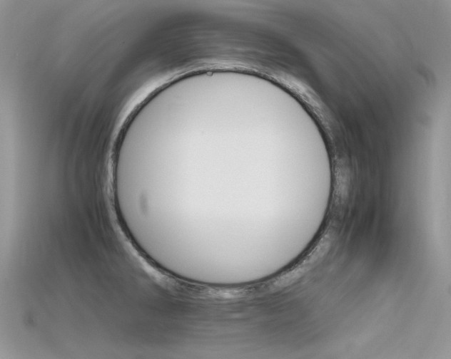 X0000115701286200911121356