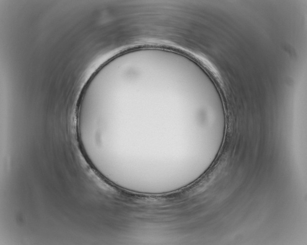X0000115701287200911121356