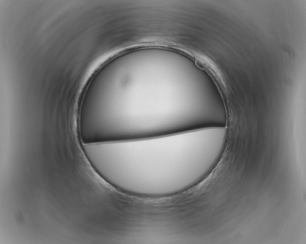X0000115701288200911121356