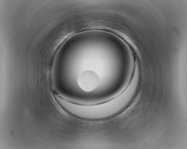 X0000115701289200911121356