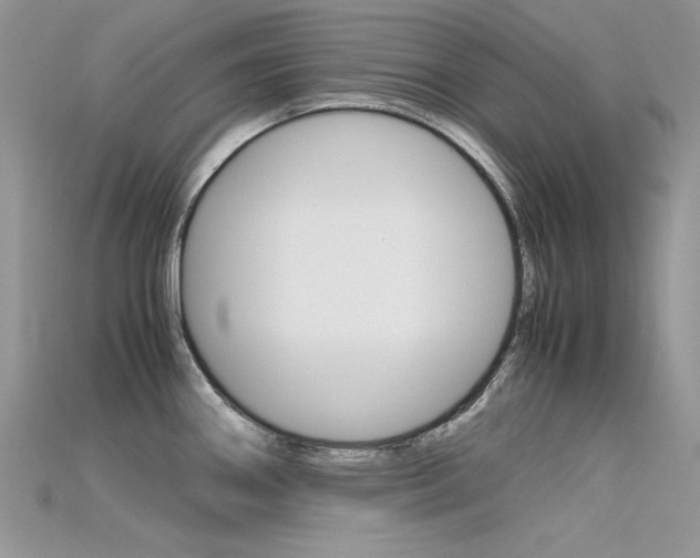 X0000115701290200911121356