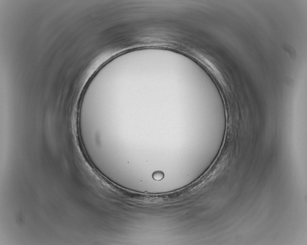 X0000115701291200911121356