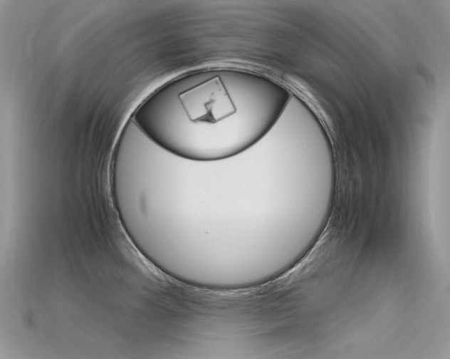 X0000115701292200911121356
