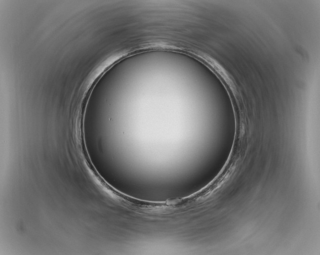 X0000115701293200911121356