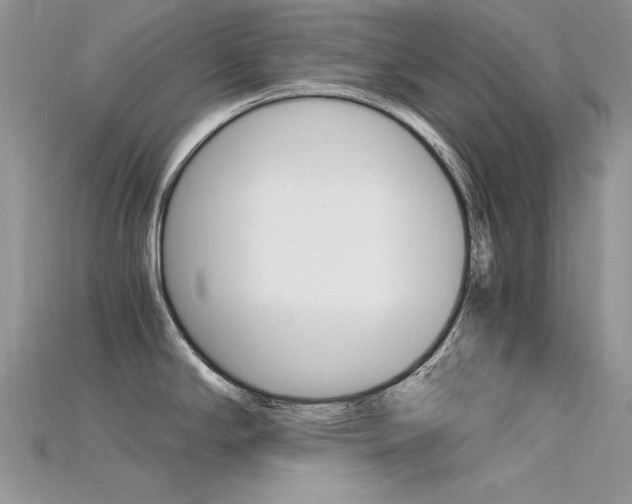 X0000115701294200911121356