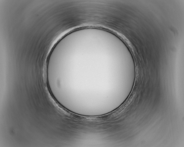 X0000115701295200911121356