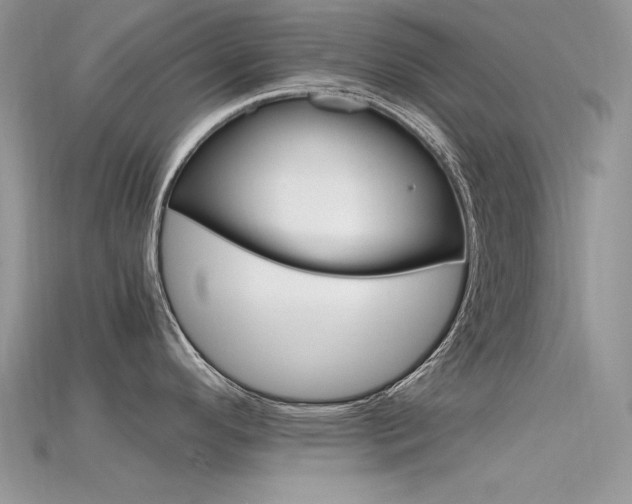 X0000115701296200911121356