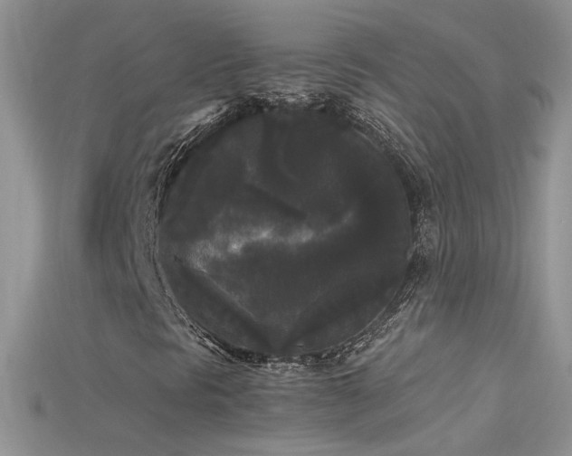 X0000115701297200911121356