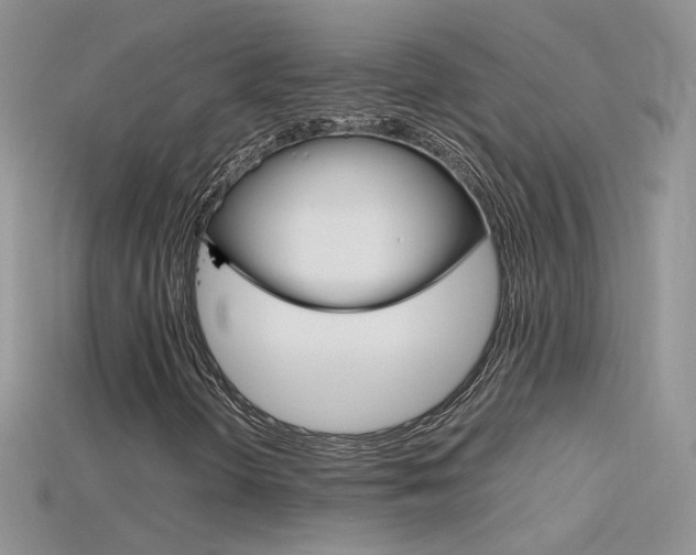 X0000115701298200911121356