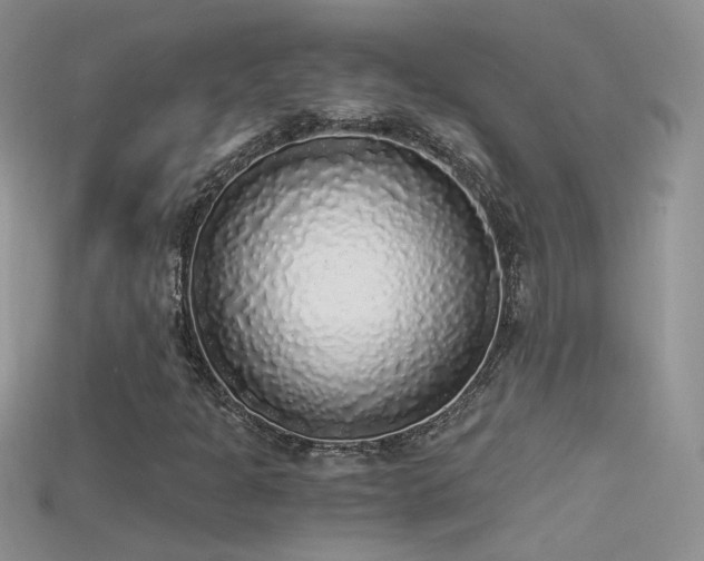 X0000115701301200911121356