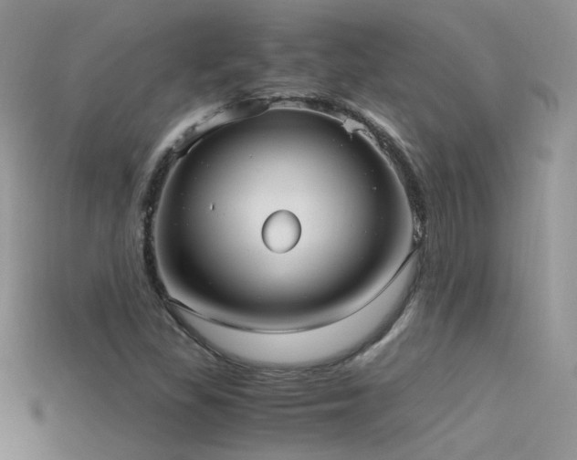 X0000115701309200911121356