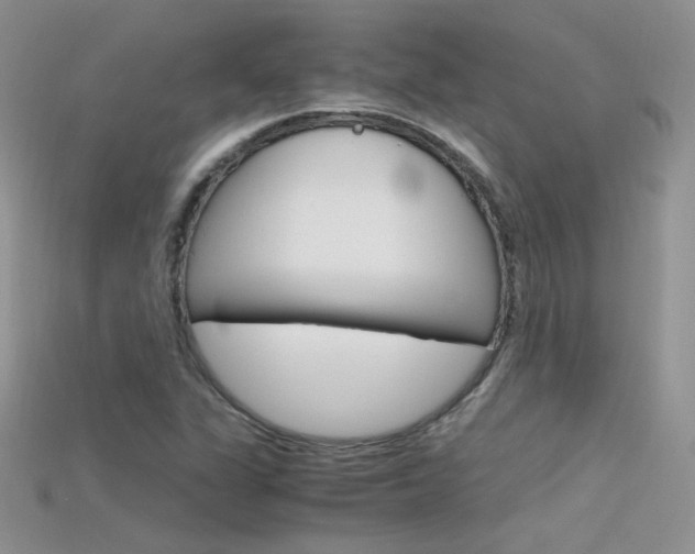 X0000115701311200911121356