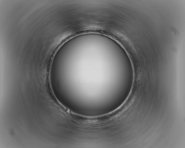 X0000115701313200911121356