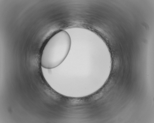 X0000115701314200911121356