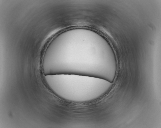 X0000115701315200911121356