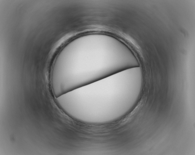 X0000115701318200911121356