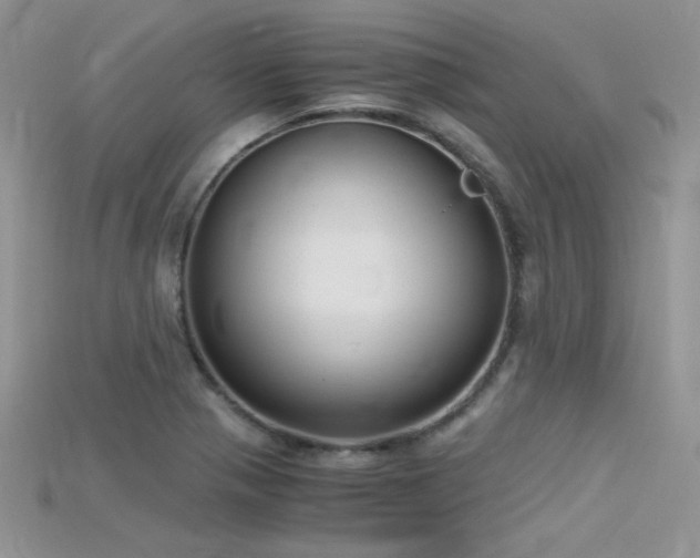 X0000115701321200911121356