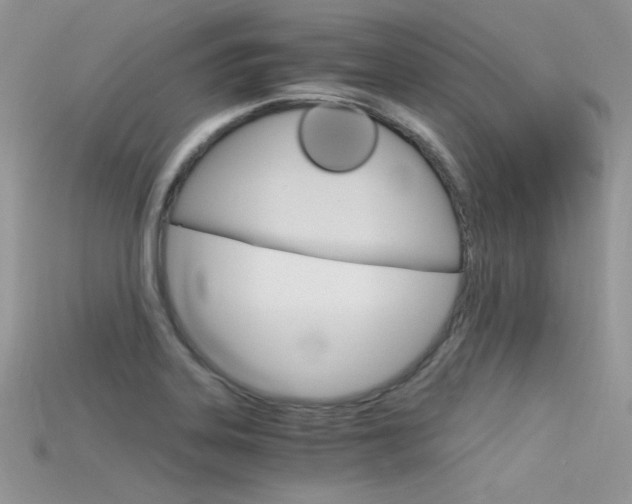X0000115701323200911121356