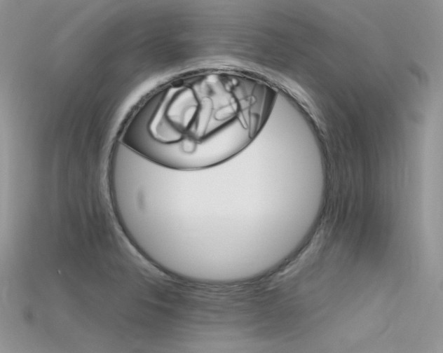 X0000115701326200911121356